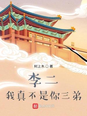 李二,我真不是你四弟!