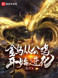 金乌从公鸡开始进化